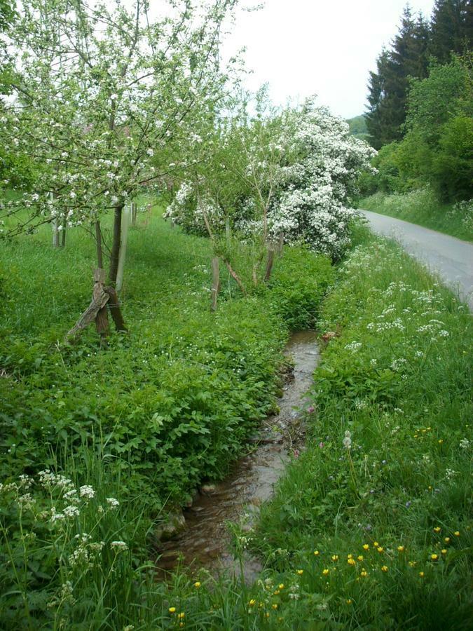 Gasthof Susewind Antfeld ภายนอก รูปภาพ